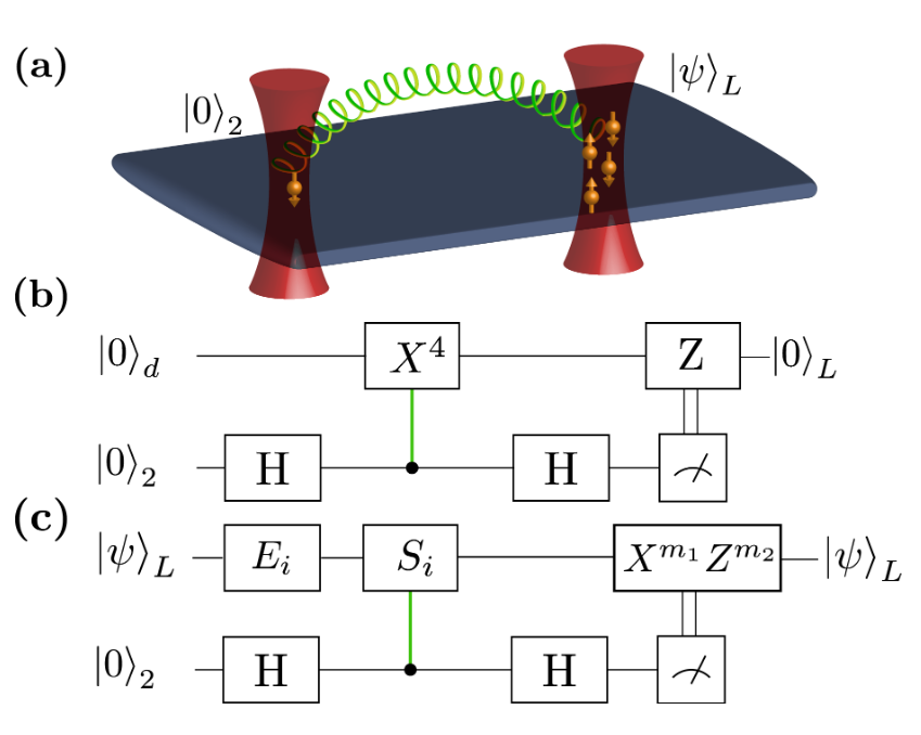 Experimental implementation of quantum error correction in a ultracold atomic mixture.